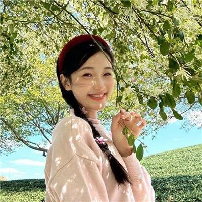 山有木兮木有心